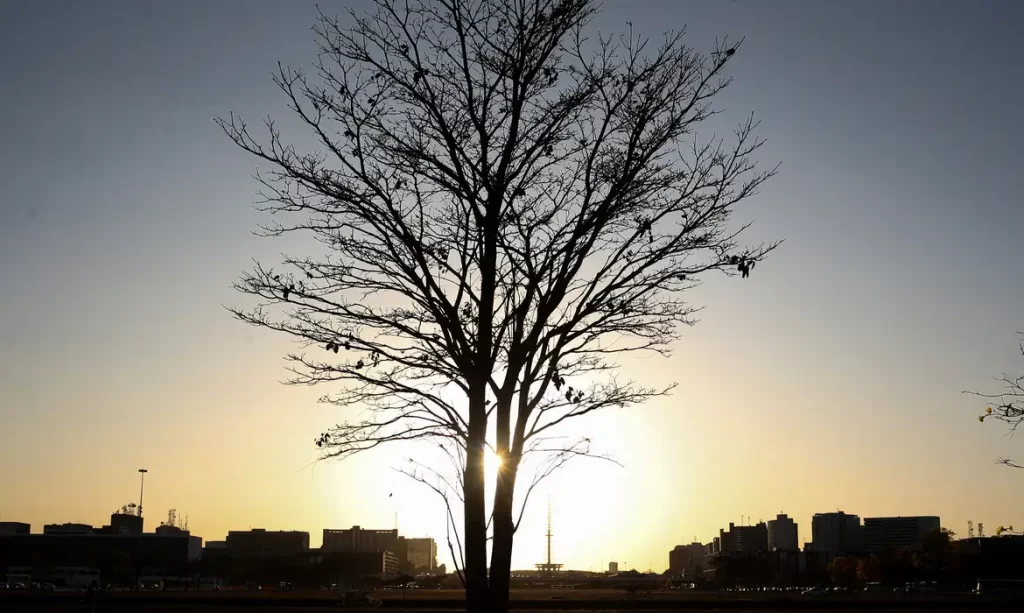Duas pesquisadoras da Uerj participam do seleto grupo do IPCC da ONU