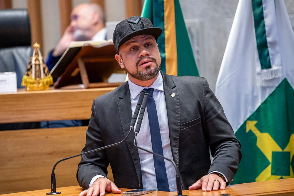 Audiência pública debate proteção e dignidade de mulheres vítimas de violência